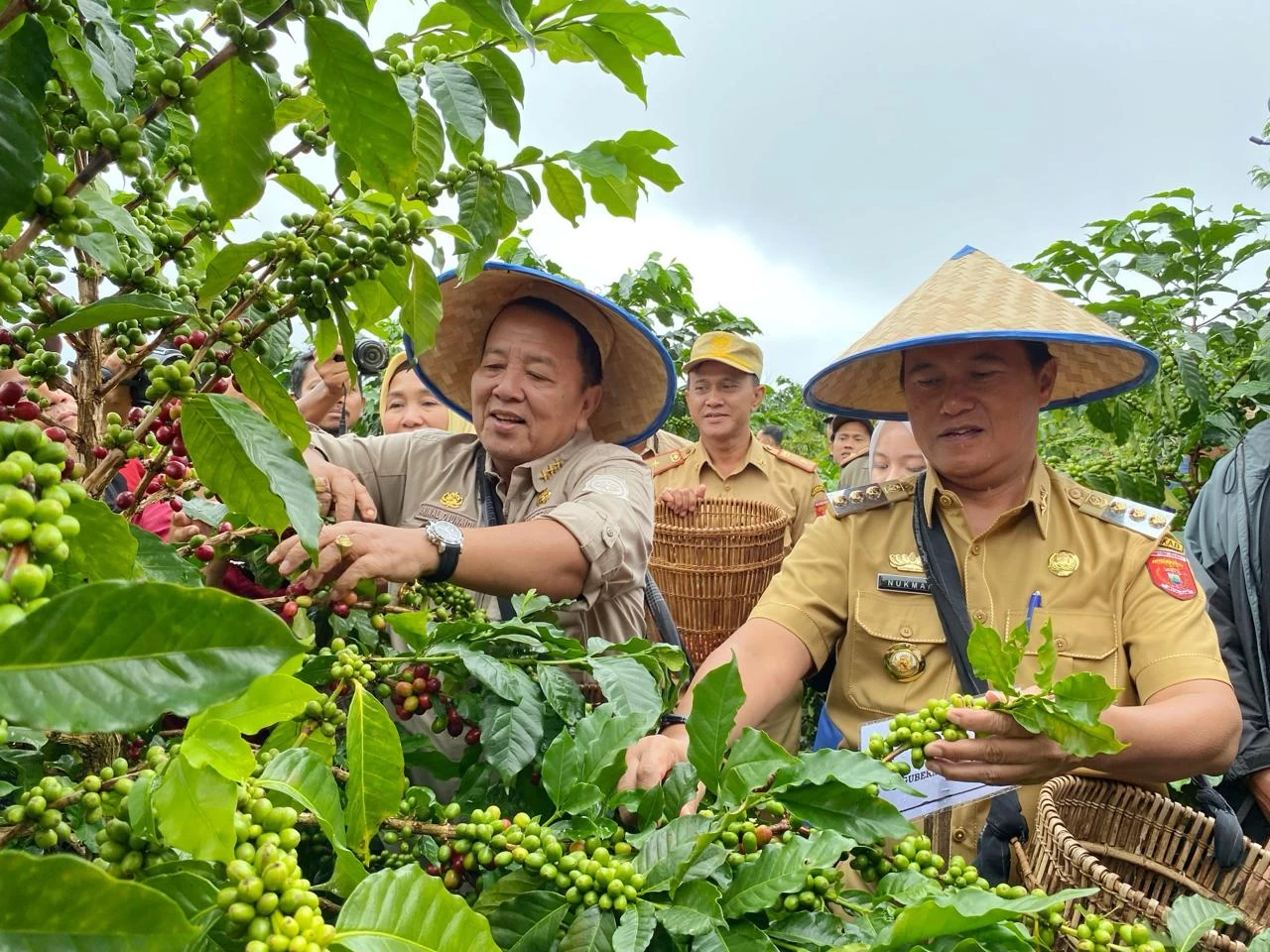 Pj. Bupati Nukman Dampingi Gubernur Lampung, Kenali Kopi Arabika Lambar