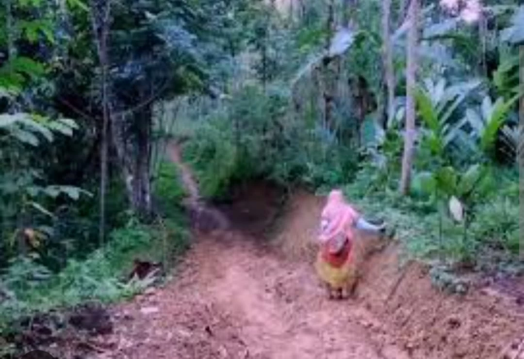 Pamit Kekebun Seorang Nenek Berumur 90 Tahun Belum Pulang Sampai Sekarang