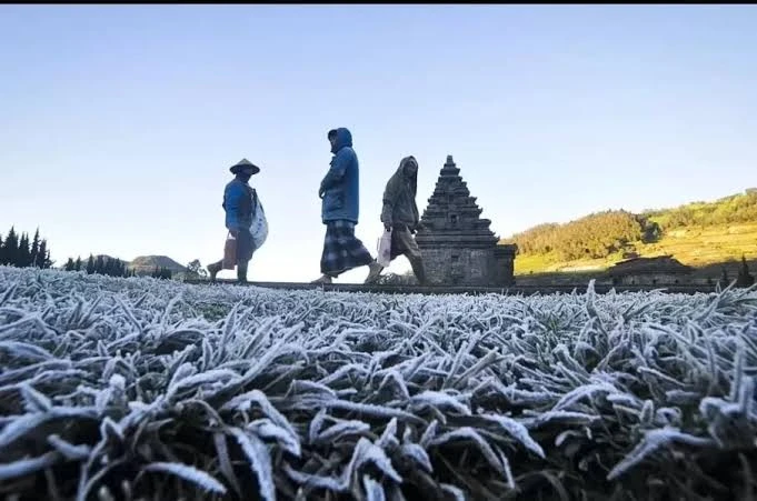 Fenomena Embun Es Kembali Muncul di Dieng, Meluas Hingga Permukiman Warga