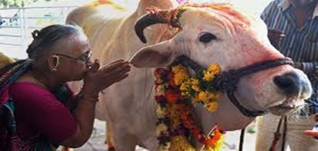 Hindu Garis Keras Bunuh Pria Muslim Gara-Gara Sapi