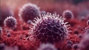 Belum ada Vaksinnya, Masyarakat Diimbau Waspadai Penyebaran Virus hMPV di China