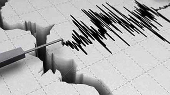 Sulawesi Hingga Papua Pagi Ini diguncang Gempa Berantai, Intens Terjadi di Sulut