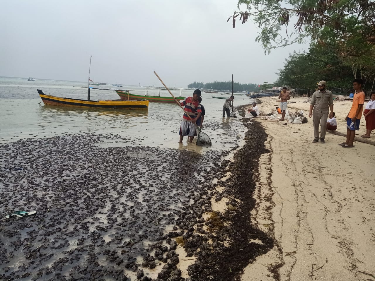 Pertamina Kerahkan Anak Buah Bersihkan Tumpahan Limbah Minyak