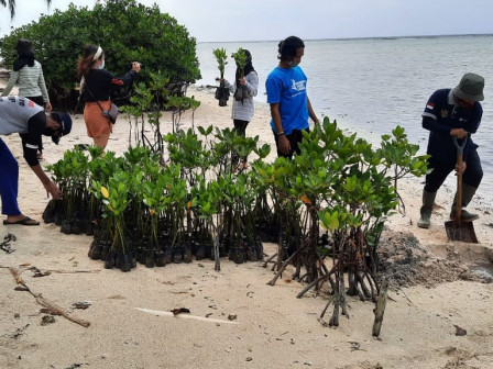 1.500 Mangrove Ditanam di Kawasan Konservasi Pulau Tidung Kecil