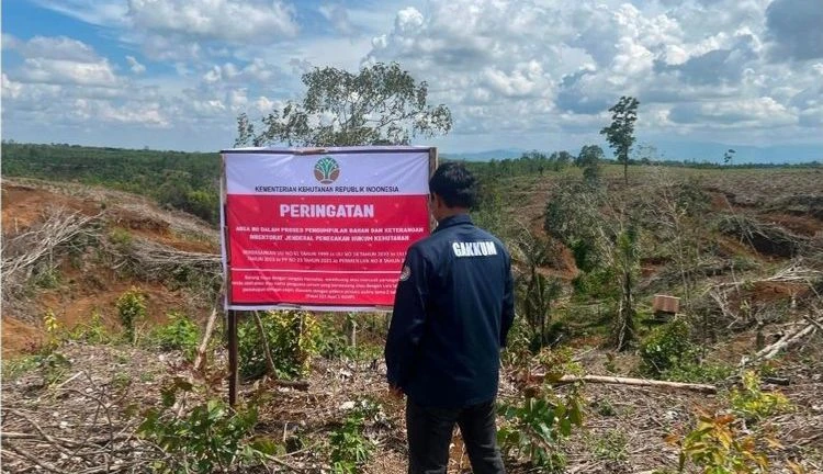 Terkait Banjir Sumatera, Kemenhut Temukan Kerusakan Hulu 2 DAS di Tapanuli