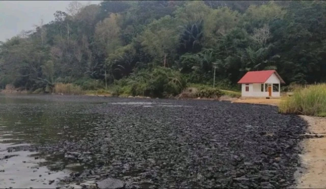 Sepanjang Rabu Dinihari Hingga Pagi Ini, NTT Diguncang Lebih dari 200 Gempa Susulan