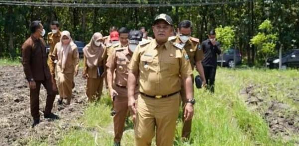 Serius Atasi Ketahanan Pangan, Bupati Nanang Tinjau Lahan Kosong di Desa Marga Catur