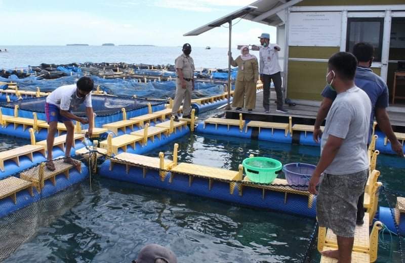 Nelayan Kepulauan Seribu Terima Bantuan 60 Ribu Benih Ikan Konsumsi