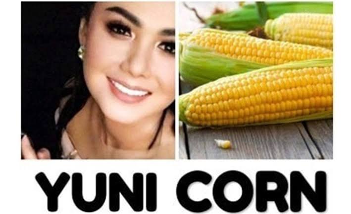 Pertanyaan Jokowi Soal Unicorn Jadi Bahan Lucu-lucuan di Medsos