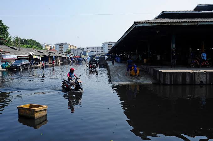 Siap-Siap! Gelombang Tinggi Ancam Pesisir