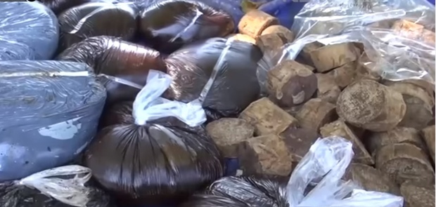 Ada Tim Mafia Pangan 