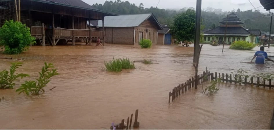 Puluhan Rumah Terendam Banjir Di Kecamatan Bandar Negri Suoh
