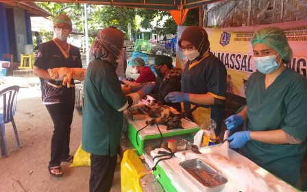 107 Hewan Penular Rabies di Pulau Sebira Divaksin