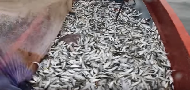 Rezim Eksploitasi Sumber Daya Alam Harus di Hentikan